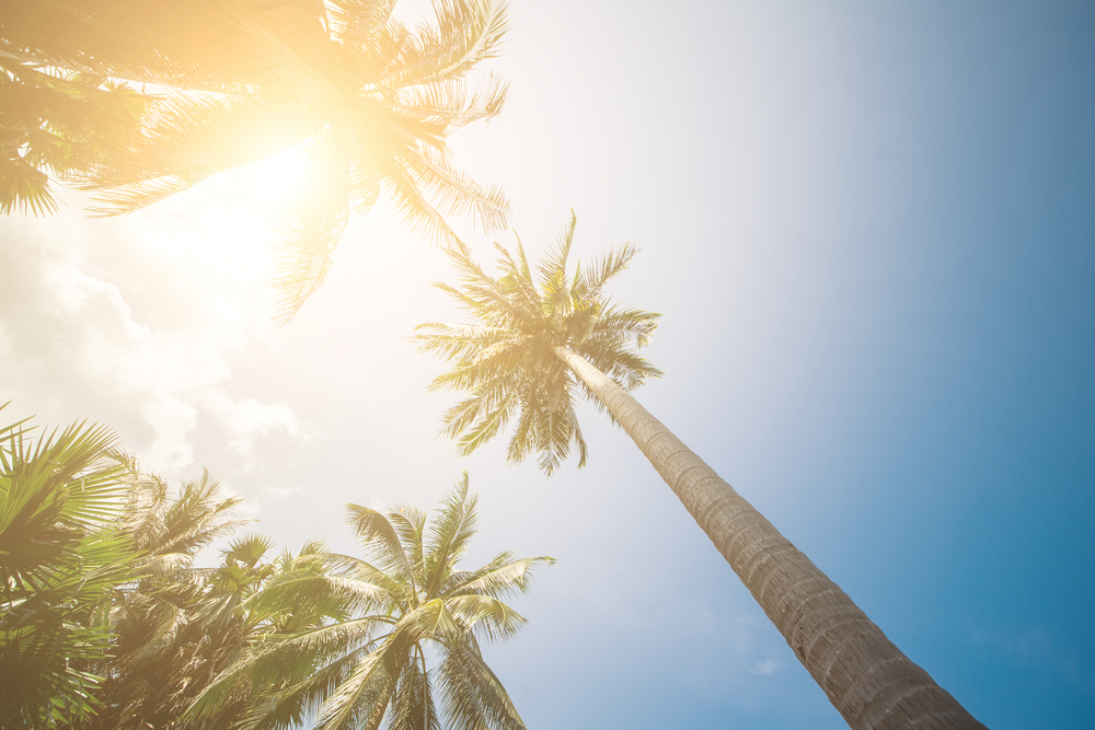 Is Florida sun bad for your skin?